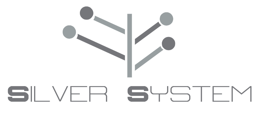 Silver System Logo